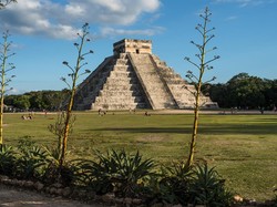 7 Jurusan Langka di Indonesia dan Punya Peluang Karier yang Menjanjikan