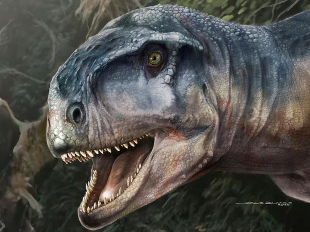 Tengkorak Dinosaurus Dijuluki Dia yang Menakutkan Ditemukan di Patagonia