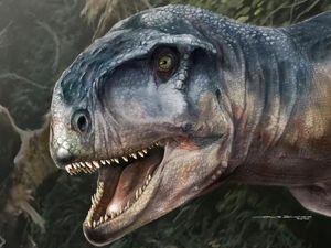 Bukan Hanya Asteroid, Peneliti Ungkap Penyebab Kepunahan Spesies Dinosaurus Bukan Hanya Asteroid, Peneliti Ungkap Penyebab Kepunahan Spesies Dinosaurus