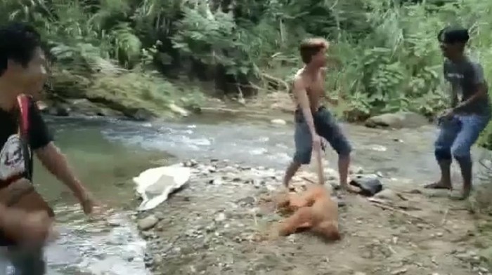 Video viral 4 pria siksa simpai di Sumatera Barat (dok. Istimewa)