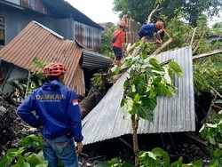 Angin Kencang Hantam Parepare: Rumah Rusak, Pohon Bertumbangan