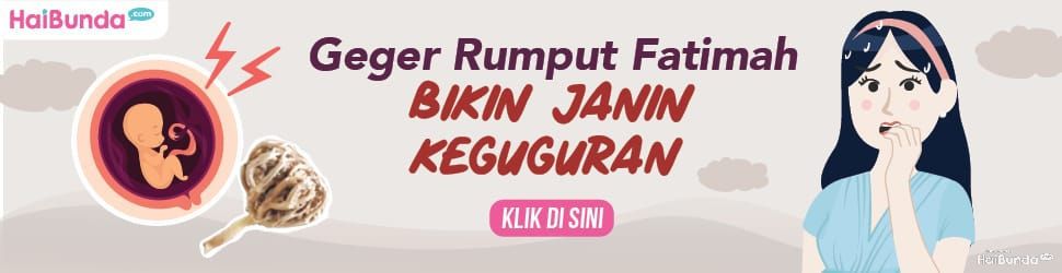 Banner Rumput Fatimah
