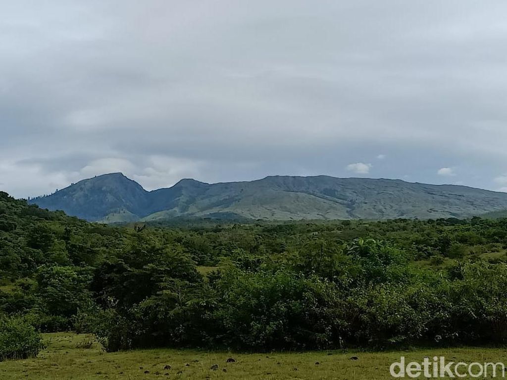 Pendakian Gunung Tambora Dibuka, Perhatikan Kuota dan Syaratnya Pendakian Gunung Tambora Dibuka, Perhatikan Kuota dan Syaratnya