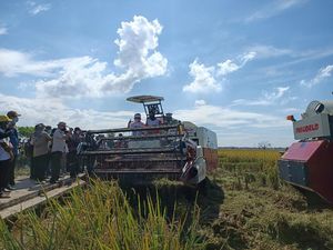 Dedi Mulyadi Minta Pemerintah Beli Gabah Petani 10% di Atas HPP