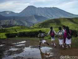 Studi: Semakin Sering Remaja Berjalan Kaki, Semakin Sehat Mentalnya