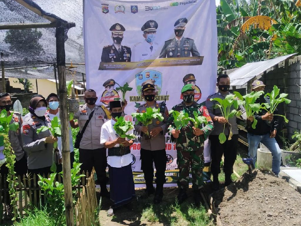 Sambut Kampung Sehat 2, Warga NTB Bangun Ekonomi Produktif Sambut Kampung Sehat 2, Warga NTB Bangun Ekonomi Produktif