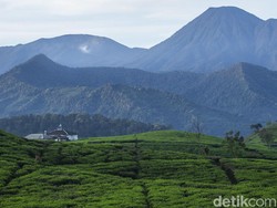 7 Fakta Peziarah Tersesat di Pangrango Disebut Mau ke Tempat Keramat