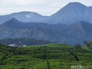 7 Fakta Peziarah Tersesat di Pangrango Disebut Mau ke Tempat Keramat 7 Fakta Peziarah Tersesat di Pangrango Disebut Mau ke Tempat Keramat