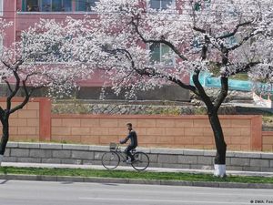 Kelangkaan Pangan, Diplomat Asing Ramai-ramai Tinggalkan Korut