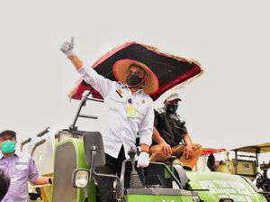 Panen Raya di Sumsel, Mentan Minta Bulog Serap Gabah Petani