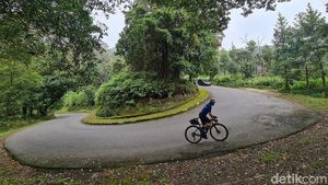 Nanjak Syahdu ke Tangkuban Perahu