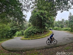 Nanjak Syahdu ke Tangkuban Perahu
