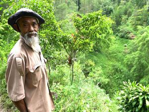 Pernah Dianggap Gila, Kakek Sadiman Berhasil Ubah Bukit Gersang Jadi Hijau