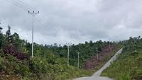 Senangnya! 8 Desa di Perbatasan RI-Malaysia Tak Lagi Gelap Gulita