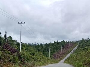 Senangnya! 8 Desa di Perbatasan RI-Malaysia Tak Lagi Gelap Gulita