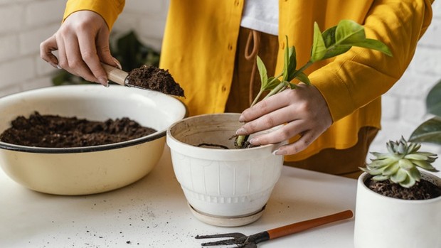 tips membuat taman mungil terlihat indah