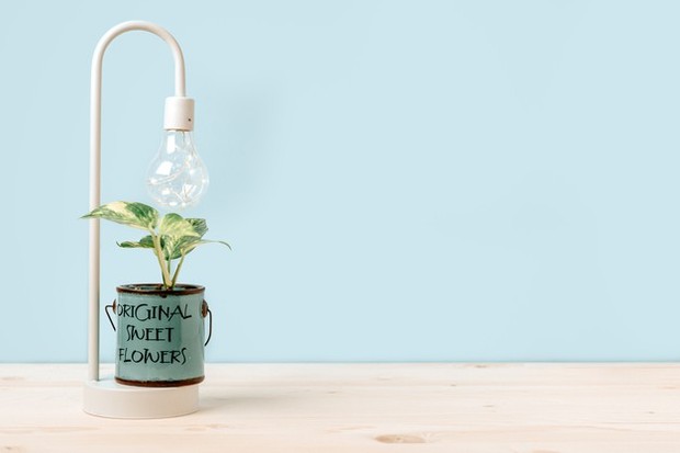 tips membuat taman mungil terlihat indah