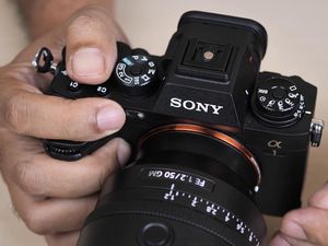 Mengulas Kamera Sultan Sony Alpha 1 dengan Sony 50mm f/1.2