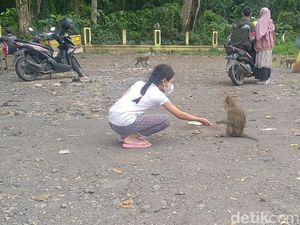 Potret Rest Area Pemalang yang Mistis dan Jadi Markas Monyet