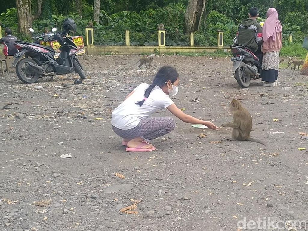 Potret Rest Area Pemalang yang Mistis dan Jadi Markas Monyet Potret Rest Area Pemalang yang Mistis dan Jadi Markas Monyet