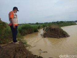 Tanggul Anak Sungai Bengawan Solo di Lamongan Jebol, 25 Hektare Lahan Terendam