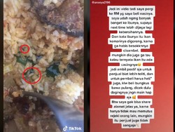 Jijik! Wanita Ini Temukan Belatung dalam Bungkusan Nasi Padang