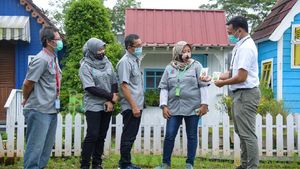 Budidaya Sayuran Hidroponik di Tengah Pandemi Naik Daun