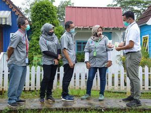 Budidaya Sayuran Hidroponik di Tengah Pandemi Naik Daun