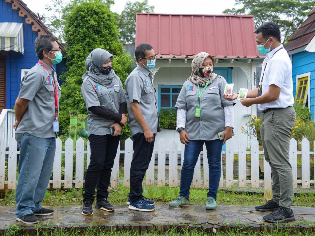Budidaya Sayuran Hidroponik di Tengah Pandemi Naik Daun Budidaya Sayuran Hidroponik di Tengah Pandemi Naik Daun