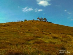 Bukit Rimpi Pelaihari, Wisata di Atas Awan