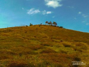 Bukit Rimpi Pelaihari, Wisata di Atas Awan Bukit Rimpi Pelaihari, Wisata di Atas Awan