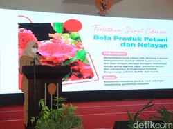 2 Kampus Serahkan Policy Brief ke Bupati Ipuk agar Produktivitas Udang Terjaga