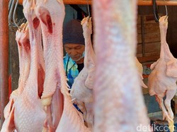 Jelang Ramadhan, Harga Daging Ayam di Pasar Bandung-Tasikmalaya Melonjak