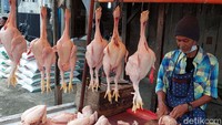 Doa Menyembelih Ayam Tidak Boleh Sembarangan, Ini Bacaannya