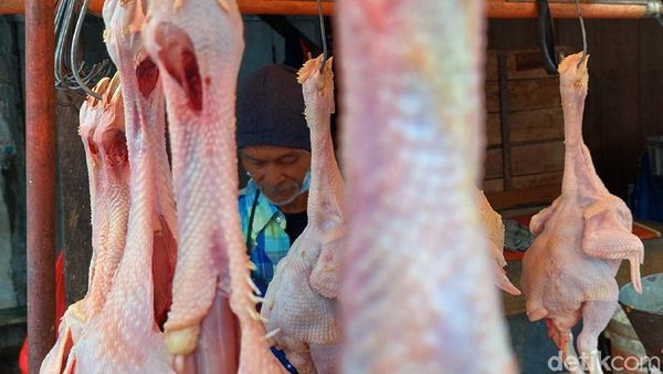 Jelang Ramadhan, Harga Ayam Potong di Bandung Tembus Rp 40 Ribu