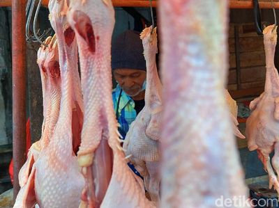 Jelang Ramadhan, Harga Ayam Potong di Bandung Tembus Rp 40 Ribu