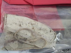 Yang Masih Jadi Misteri dari Pembunuhan Sadis 2 Wanita di Kulon Progo