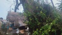 Penampakan Pohon Tumbang Lalu Berdiri Lagi yang Tewaskan Warga Sumut