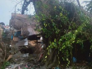 Penampakan Pohon Tumbang Lalu Berdiri Lagi yang Tewaskan Warga Sumut