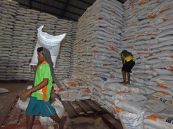 Siap-Siap! Bantuan Beras PPKM Darurat Disebar Hari Ini