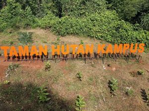 Segar! IPB Punya Taman Hutan Kampus di Dramaga