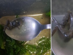 Iyuhh! Pria Ini Temukan Katak Kecil di Tumisan Sayur Pesanannnya