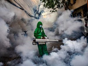 Siklus 6 Tahunan, Kasus DBD di Kulonprogo Diprediksi Melonjak di 2022!