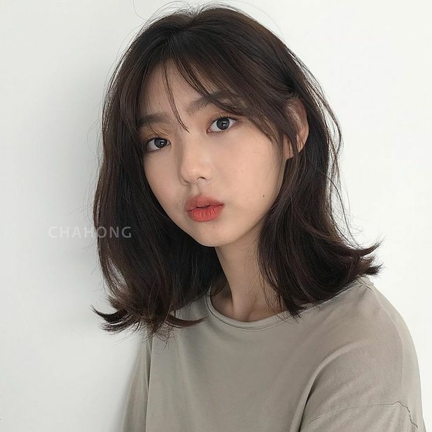 bob berponi (sumber : chahong_official) bob berponi (sumber : chahong_official)