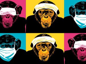 Cara Menakjubkan Satwa Liar Menyembuhkan Diri Sendiri