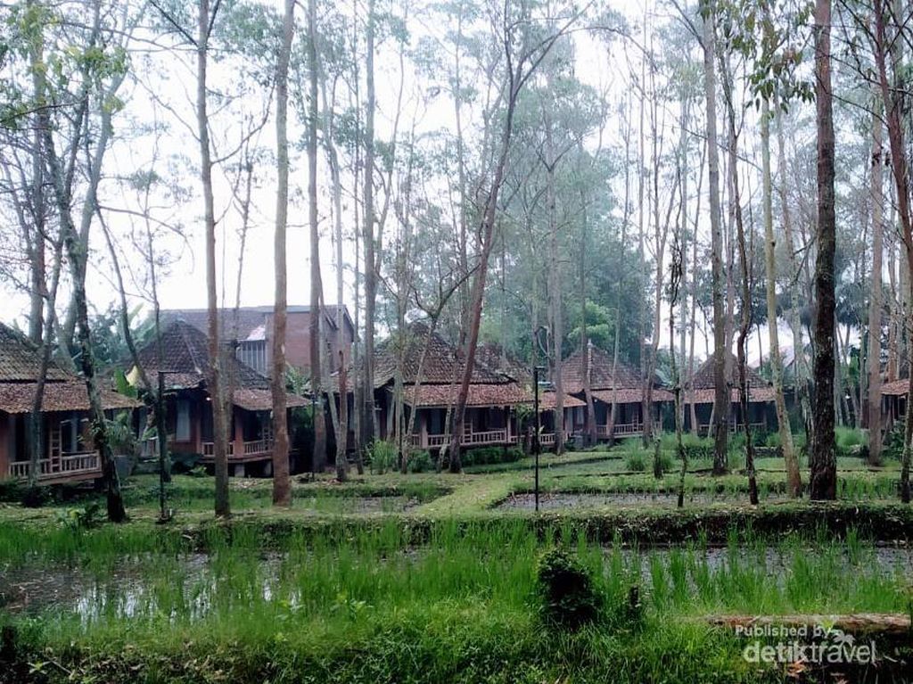 Desa Wisata di Garut, Tidur di Rumah Panggung, Menikmati Suara Jangkrik