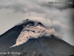 Gunung Merapi Erupsi, Luncurkan Awan Panas Sejauh 1,2 Km