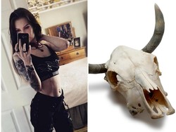 Model Cantik Hobi Koleksi Binatang Mati, Ini yang Terjadi Pada Hidupnya