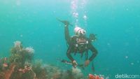 Foto: Terpesona Wisata Bahari Muara Badak Kukar