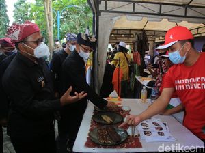 Oling River Food Festival, Tawarkan Sensasi Makan Sidat di Tepi Sungai Oling River Food Festival, Tawarkan Sensasi Makan Sidat di Tepi Sungai